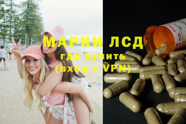 прущая мука Корсаков